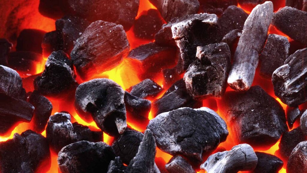 coconut charcoal