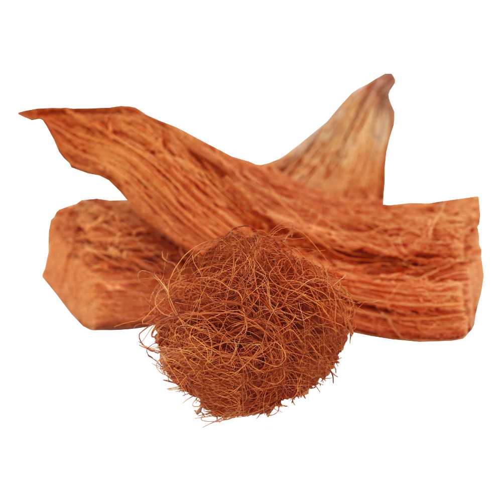 Coconut Fiber